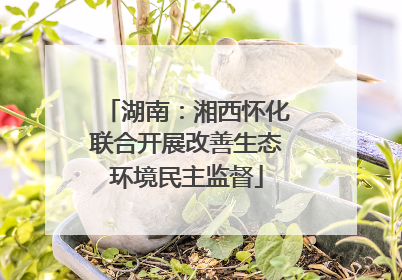 湖南：湘西怀化联合开展改善生态环境民主监督