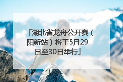 湖北省龙舟公开赛（阳新站）将于5月29日至30日举行