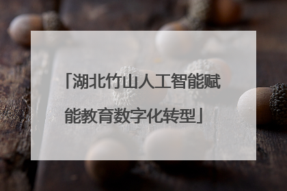 湖北竹山人工智能赋能教育数字化转型