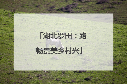 湖北罗田：路畅景美乡村兴
