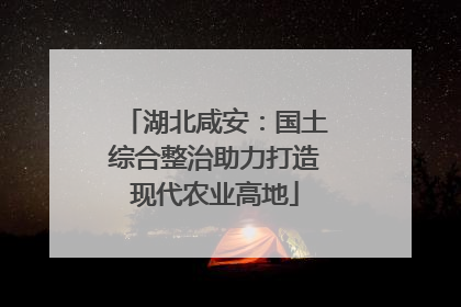 湖北咸安：国土综合整治助力打造现代农业高地