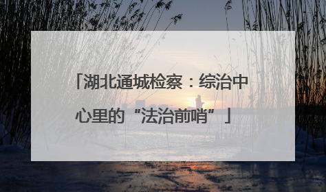 湖北通城检察：综治中心里的“法治前哨”