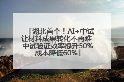 湖北首个！AI+中试让材料成果转化不再难 中试验证效率提升50%成本降低60%