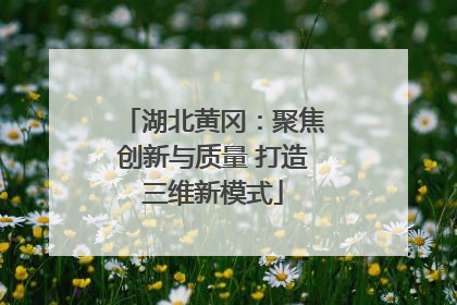 湖北黄冈：聚焦创新与质量 打造三维新模式