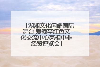 湖湘文化闪耀国际舞台 爱晚亭红色文化交流中心亮相中非经贸博览会