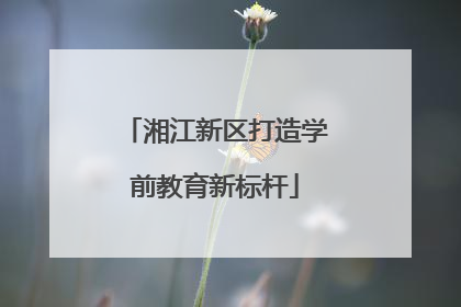 湘江新区打造学前教育新标杆