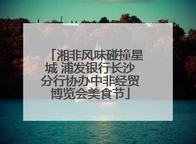 湘非风味碰撞星城 浦发银行长沙分行协办中非经贸博览会美食节