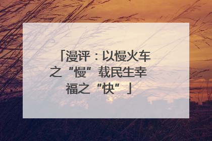漫评：以慢火车之“慢”载民生幸福之“快”