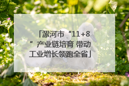 漯河市“11+8”产业链培育 带动工业增长领跑全省
