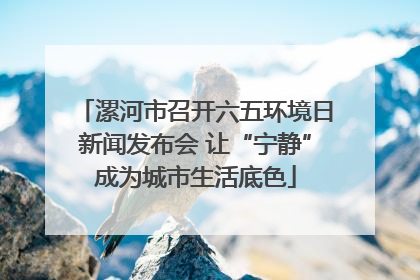 漯河市召开六五环境日新闻发布会 让“宁静”成为城市生活底色