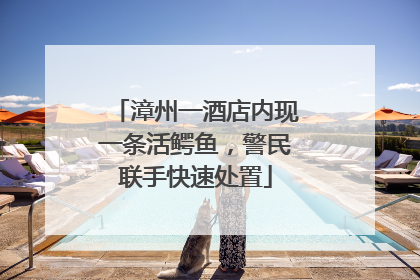 漳州一酒店内现一条活鳄鱼，警民联手快速处置