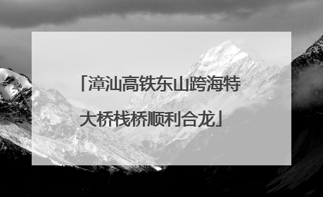 漳汕高铁东山跨海特大桥栈桥顺利合龙