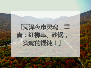 菏泽夜市灵魂三重奏：红柳串、砂锅，烫嘴的馄饨！