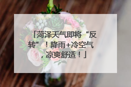菏泽天气即将“反转”！降雨+冷空气，凉爽舒适！