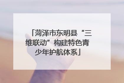 菏泽市东明县“三维联动”构建特色青少年护航体系