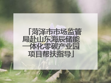 菏泽市市场监管局赴山东海辰储能一体化零碳产业园项目帮扶指导
