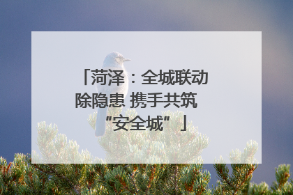 菏泽：全城联动除隐患 携手共筑“安全城”