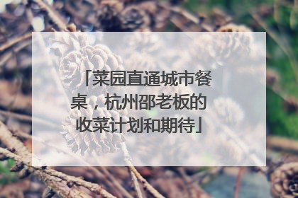 菜园直通城市餐桌，杭州邵老板的收菜计划和期待