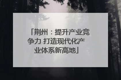荆州：提升产业竞争力 打造现代化产业体系新高地