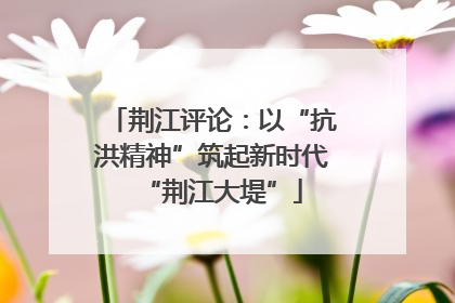 荆江评论：以“抗洪精神”筑起新时代“荆江大堤”