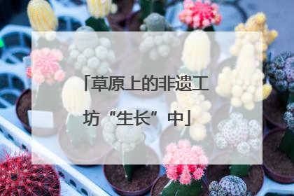 草原上的非遗工坊“生长”中