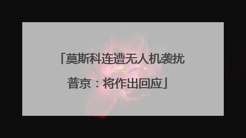 莫斯科连遭无人机袭扰 普京：将作出回应