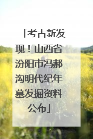 考古新发现！山西省汾阳市冯郝沟明代纪年墓发掘资料公布