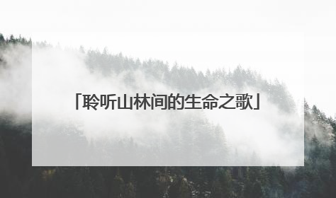 聆听山林间的生命之歌