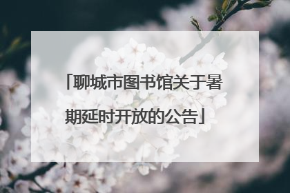 聊城市图书馆关于暑期延时开放的公告