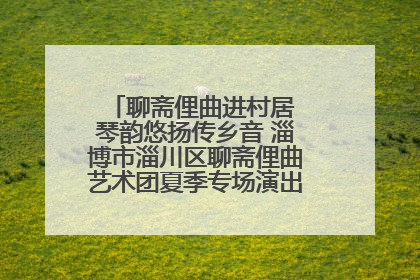 聊斋俚曲进村居 琴韵悠扬传乡音 淄博市淄川区聊斋俚曲艺术团夏季专场演出在杏园子村举行
