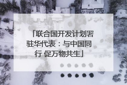 联合国开发计划署驻华代表：与中国同行 促万物共生