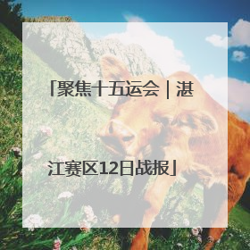 聚焦十五运会｜湛江赛区12日战报
