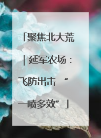 聚焦北大荒｜延军农场：飞防出击 “一喷多效”