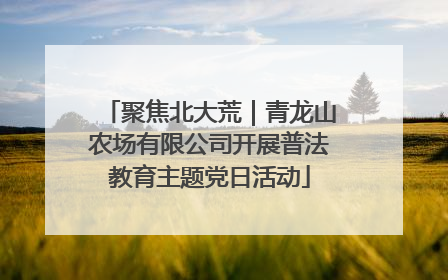 聚焦北大荒｜青龙山农场有限公司开展普法教育主题党日活动