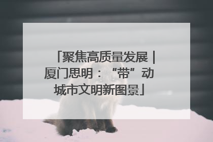聚焦高质量发展｜厦门思明：“带”动城市文明新图景