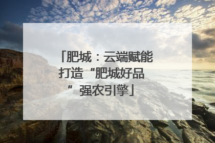 肥城：云端赋能 打造“肥城好品”强农引擎