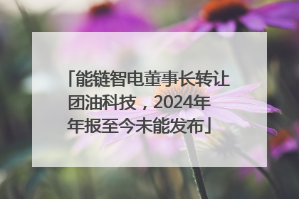 能链智电董事长转让团油科技，2024年年报至今未能发布