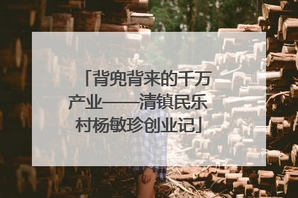 背兜背来的千万产业——清镇民乐村杨敏珍创业记