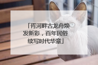 胥河畔古龙舟焕发新彩，百年民俗续写时代华章