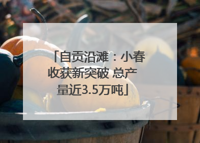 自贡沿滩：小春收获新突破 总产量近3.5万吨