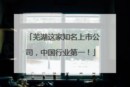 芜湖这家知名上市公司，中国行业第一！