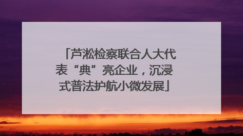 芦淞检察联合人大代表“典”亮企业，沉浸式普法护航小微发展