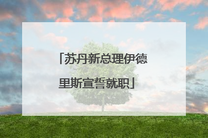 苏丹新总理伊德里斯宣誓就职
