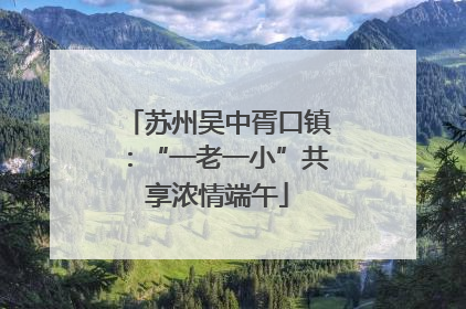 苏州吴中胥口镇：“一老一小”共享浓情端午