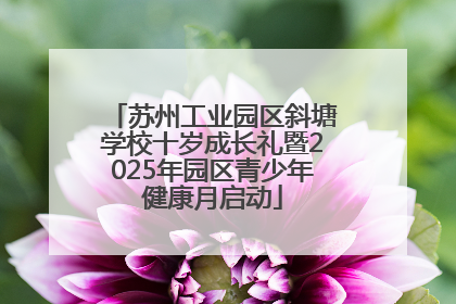 苏州工业园区斜塘学校十岁成长礼暨2025年园区青少年健康月启动