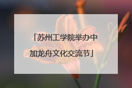 苏州工学院举办中加龙舟文化交流节