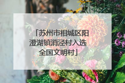苏州市相城区阳澄湖镇消泾村入选全国文明村
