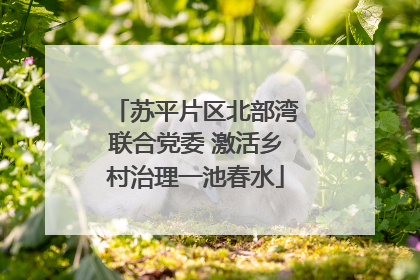 苏平片区北部湾联合党委 激活乡村治理一池春水