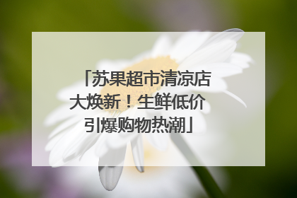 苏果超市清凉店大焕新！生鲜低价引爆购物热潮