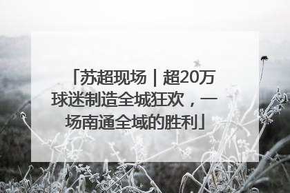 苏超现场｜超20万球迷制造全城狂欢，一场南通全域的胜利